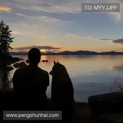 朱晶丹
